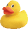 rubber duck