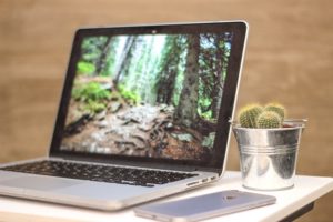 A photograph of an open laptop displaying a pretty, forest desktop wallpaper with a small cactus plant and a phone turned upside down sitting next to the laptop.