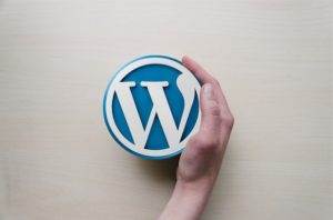 This is a photo of the WordPress logo with a hand wrapping along the side of it.