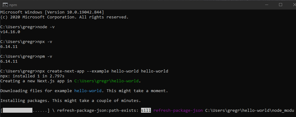 This is a screen grab of the N P M window of the folder named / hello-world.