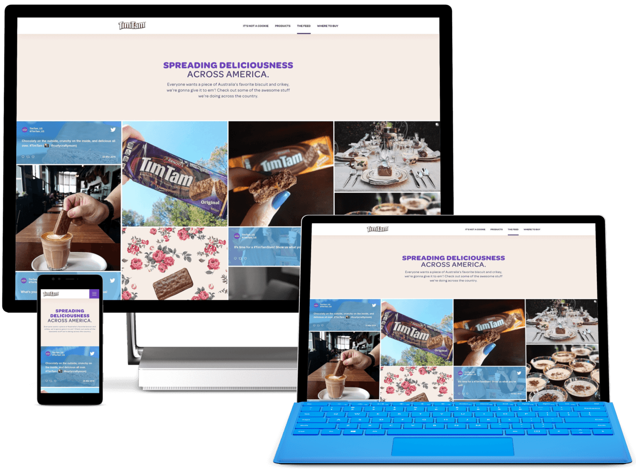 Tim Tam, WordPress Enterprise Development Project, Social Feed